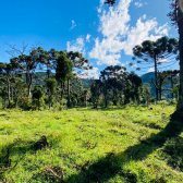 Terreno a Venda - Vista para as Montanhas - Serra Catarinense