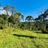 Terreno a Venda - Vista para as Montanhas - Serra Catarinense