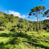 Terreno a Venda - Vista para as Montanhas - Serra Catarinense