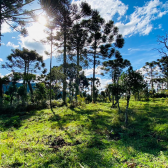 Terreno a Venda - Vista para as Montanhas - Serra Catarinense