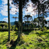 Terreno a Venda - Vista para as Montanhas - Serra Catarinense