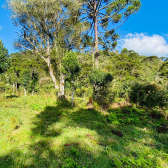 Terreno a Venda - Vista para as Montanhas - Serra Catarinense