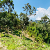 Terreno a Venda - Vista para as Montanhas - Urubici