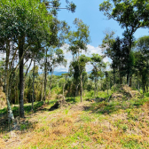 Terreno a Venda - Vista para as Montanhas - Urubici