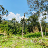 Terreno a Venda - Vista para as Montanhas - Urubici