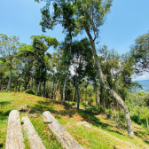 Terreno a Venda - Vista para as Montanhas - Urubici