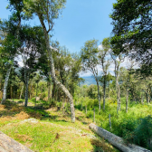 Terreno a Venda - Vista para as Montanhas - Urubici