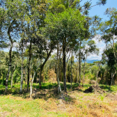 Terreno a Venda - Vista para as Montanhas - Urubici