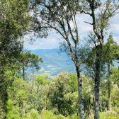 Terreno a Venda - Vista para as Montanhas - Urubici