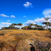 Terreno a Venda - Vista para as Montanhas - tima Localizao