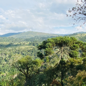 Terreno a Venda - Vista para o Vale 