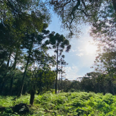 Terreno a Venda - Vista para o Vale 