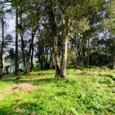 Terreno a Venda - Vista para o Vale 