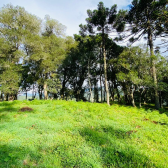 Terreno a Venda - Vista para o Vale 