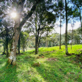 Terreno a Venda - Vista para o Vale 