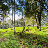 Terreno a Venda - Vista para o Vale 