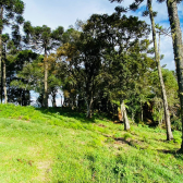 Terreno a Venda - Vista para o Vale 