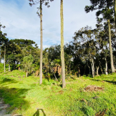 Terreno a Venda - Vista para o Vale 