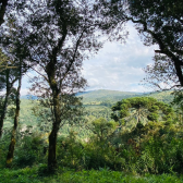 Terreno a Venda - Vista para o Vale 