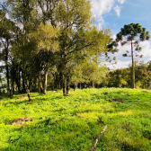 Terreno a Venda - Vista para o Vale 