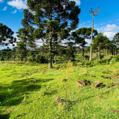 Terreno a Vendo - Linda Vista para o Vale e Montanhas