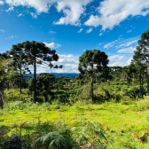 Terreno a Vendo - Linda Vista para o Vale e Montanhas