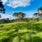 Terreno a Vendo - Linda Vista para o Vale e Montanhas