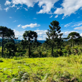 Terreno a Vendo - Linda Vista para o Vale e Montanhas