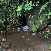 Terreno a Venda - Vista para as Montanhas e Vales - Boa Localizao 