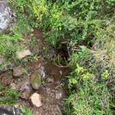 Terreno a Venda - Vista para as Montanhas e Vales - Boa Localizao 