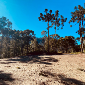 Terreno em Urubici - Excelente localizao - Pronto para contruir