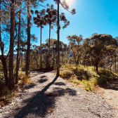 Terreno em Urubici - Excelente localizao - Pronto para contruir