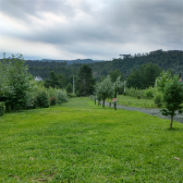 Terreno a Venda - com duas cabanas de alto padro