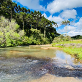 Terreno 10 hectares com rio - Jararaca - Urubici