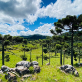 Terreno 10 hectares com rio - Jararaca - Urubici