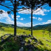 Terreno 10 hectares com rio - Jararaca - Urubici