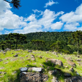 Terreno 10 hectares com rio - Jararaca - Urubici