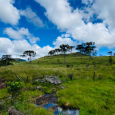 Terreno 10 hectares com rio - Jararaca - Urubici