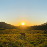 Terreno 10 hectares com rio - Jararaca - Urubici