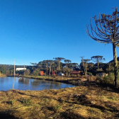 Terreno de dois hectares com casa e cabana  venda