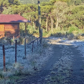 Terreno de dois hectares com casa e cabana  venda