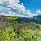 Terrenos a Venda - Crioulas - Excelente Localizao 