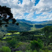 Terrenos a Venda - Crioulas - Excelente Localizao 