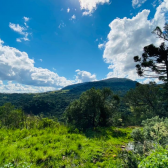 Terrenos a Venda - Crioulas - Excelente Localizao 