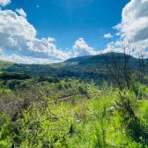 Terrenos a Venda - Crioulas - Excelente Localizao 