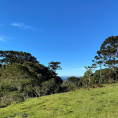 Terrreno  Venda  Mundo Novo 