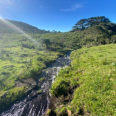 Terrreno  Venda  Mundo Novo 