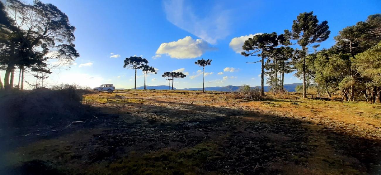 Terreno a Venda - Boa Localizao - Urubici - Serra Catarinense 