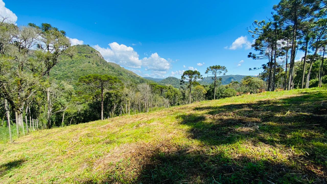 Terreno a Venda - Com gua Corrente - Excelente Localizao 