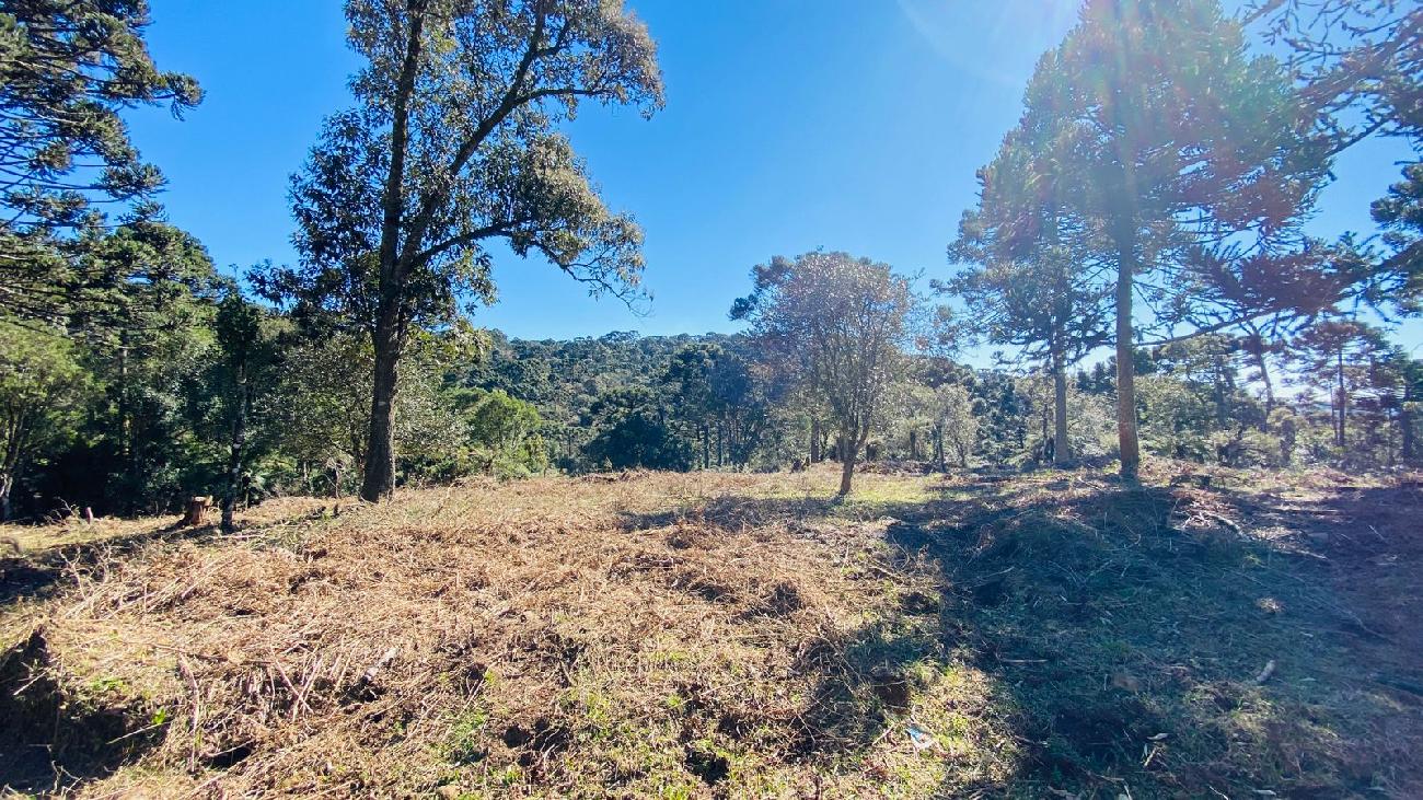 Terreno a Venda com gua corrente - Urubici - Serra Catarinense